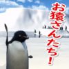 カオス化の一途を辿るバーチャルユーチューバー界。遂にペンギンユーチューバーが登場！